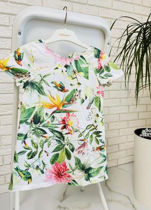 Плаття сукня