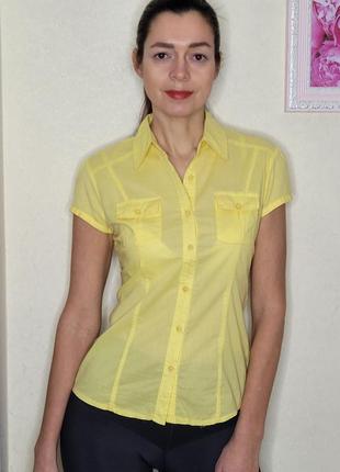 Блуза жовта8 фото