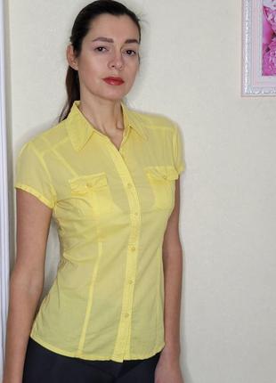Блуза жовта1 фото