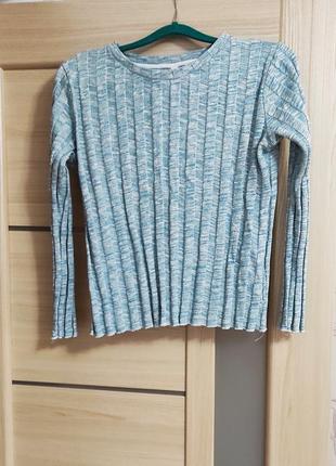 Березовая кофточка