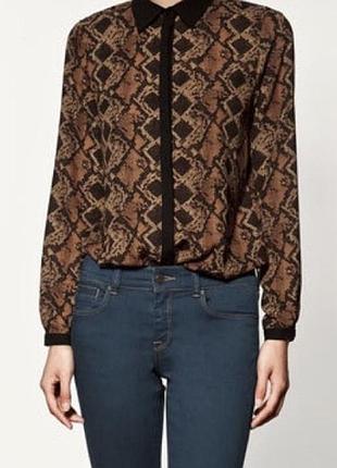 Блузка zara basic  s змеиный принт