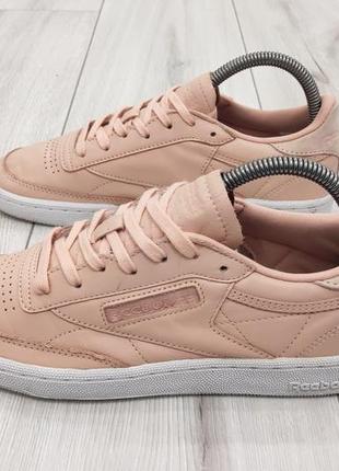 Женские кроссовки reebok club c 85 (25 см)2 фото