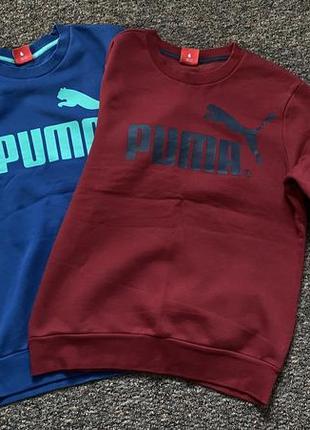 Світшот -puma р-s/m