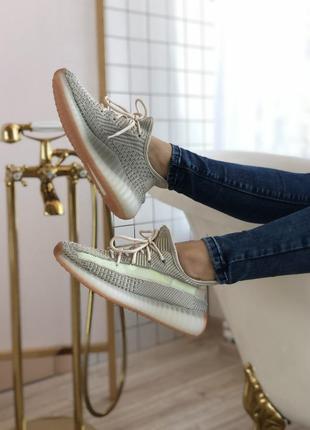 Кросівки жіночі adidas