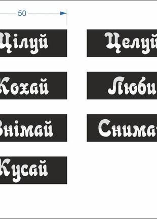 Комплект білизни ліф ліфчик бюстгальтер трусики труси стрінги на регуліровці цілуй кохай знімай кусай2 фото