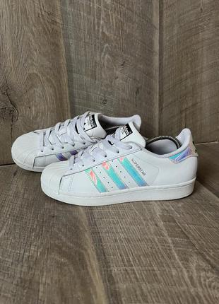 Кросівки adidas superstar 36/23см