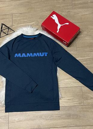 Чоловіча кофта світшот mammut s оригінал