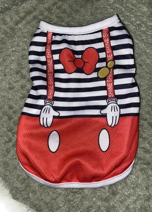 Одяг для улюбленця