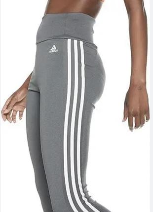 Лосіни adidas