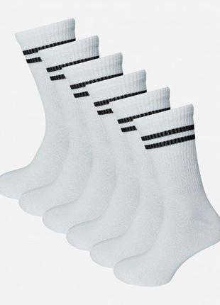 Набір шкарпеток лео теніс sport cotton 40-42 6 пар білий1 фото