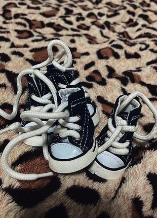 Кроси для собачок