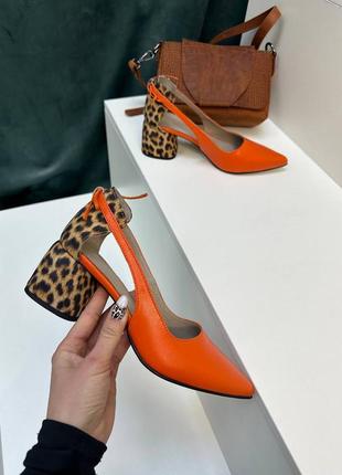 Жіночі ексклюзивні туфлі із натуральної шкіри jolie нова колекція 20247 фото