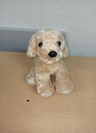 М'який песик, собака 7