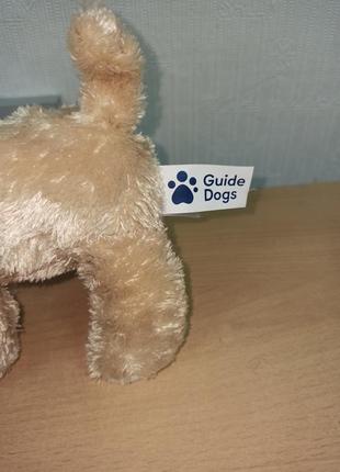 М'який песик, собака 3