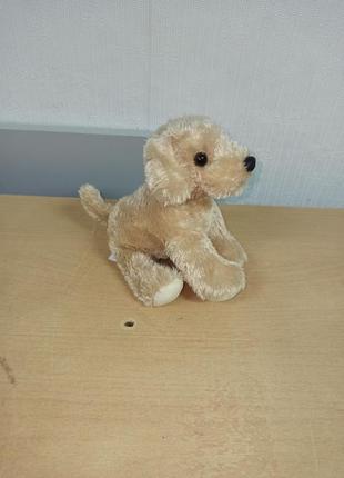 М'який песик, собака 5