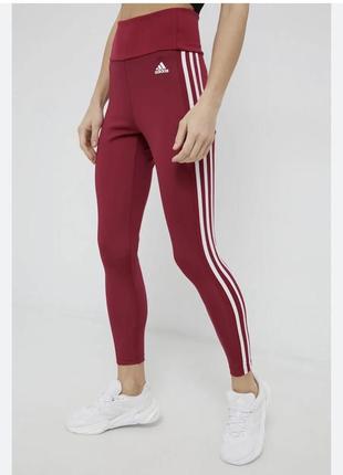 Лосіни adidas