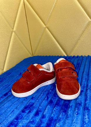 Кросівки кеди черевики