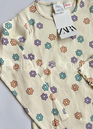 Лонгслів реглан zara