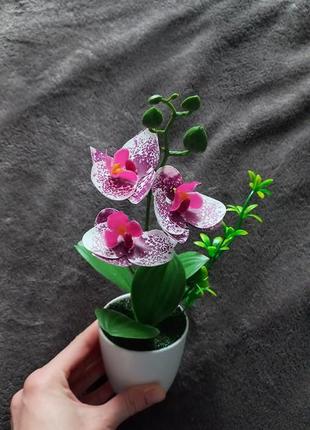 Латексна орхідея2 фото