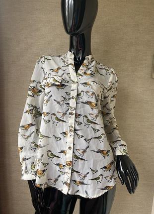 Красивая рубашка принт птички