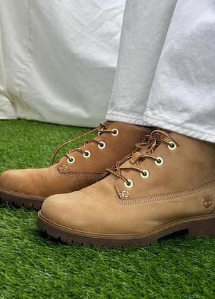 Черевики шкіряні timberland4 фото