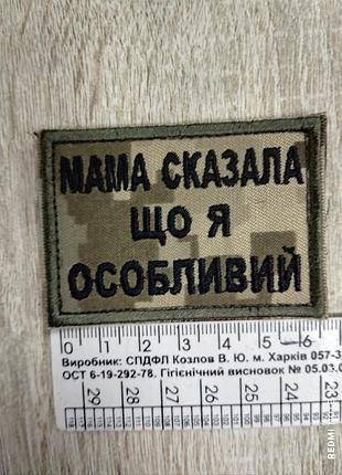 Мама сказала, що я особливий. шеврон з вишивкою на пікселі.