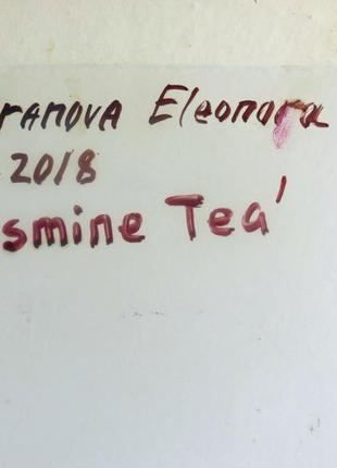 Жасміновий чай оригінальна картина з квітами олія на полотні5 фото