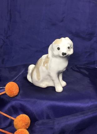 Статуетка собачка мила двірняжка фігурка н4323 вінтаж майоліка3 фото