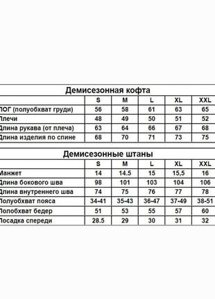 Чоловічий спортивний костюм демісезонний10 фото