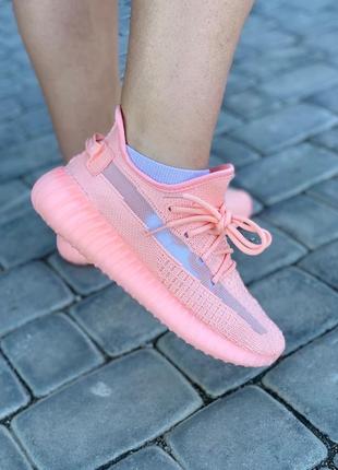 Кросівки adidas yeezy boost 350 pink (37)5 фото