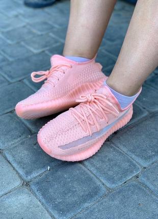 Кросівки adidas yeezy boost 350 pink (37)3 фото