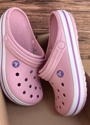 Жіночі крокси сабо crocs crocband clog pearl pink  пудрові розпродаж розпродаж розпродаж1 фото