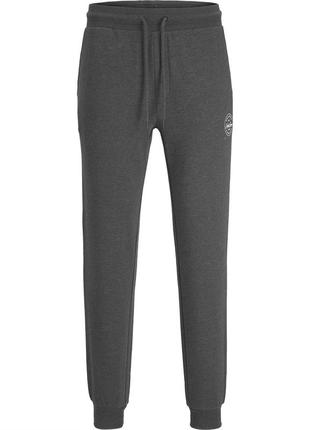 Спортивні штани jack&jones gordon jogger 121653223 фото