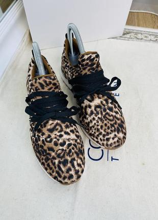 Claudia ghizzani легкие кроссовки в леопардовый принт