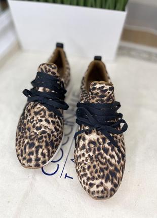 Claudia ghizzani легкие кроссовки в леопардовый принт2 фото