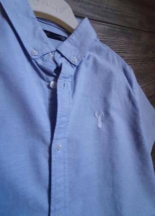 Рубашка голубая школьная идеал next 8-9л6 фото