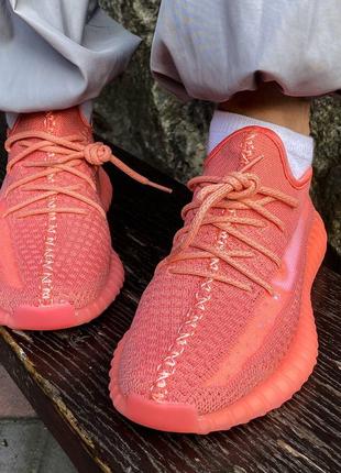 Женские кроссовки adidas yeezy boost 350 v2 coral &lt;unk&gt; smb5 фото