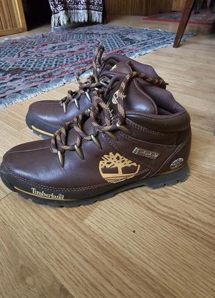 Черевики timberland1 фото