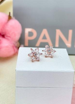 Серебряные серьги pandora rose блестящий гербарий 282407c015 фото