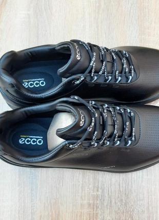 Ecco biom 6