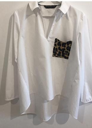 Рубашка, блуза. хлопок