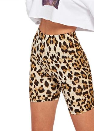 Короткие облегающие шорты леггинсы в леопардовый принт1 фото