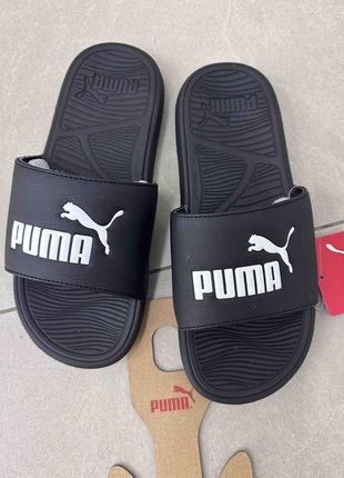 Шлепанцы мужские puma4 фото