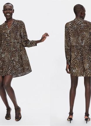 Леопардовое платье-туника zara, р.l-xl2 фото