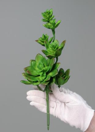 Искусственная ветвь суккуленты, цвет зеленый, латекс, 32 см. зелень премиум-класса для интерьера, декора.1 фото