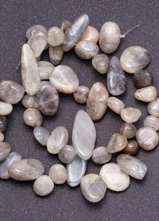 Бусины лабрадор