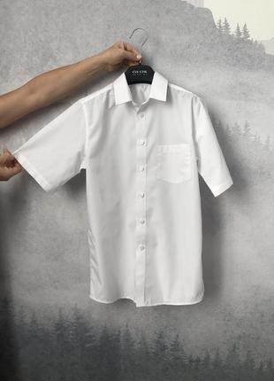 Школьная белая рубашка с коротким рукавом хлопок1 фото