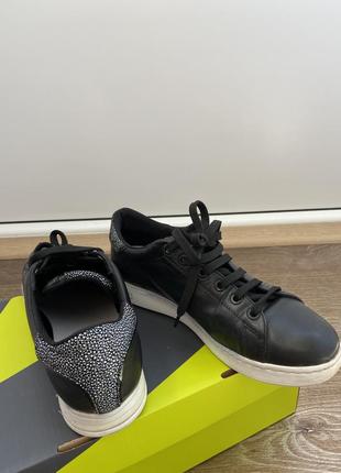 Кеди geox