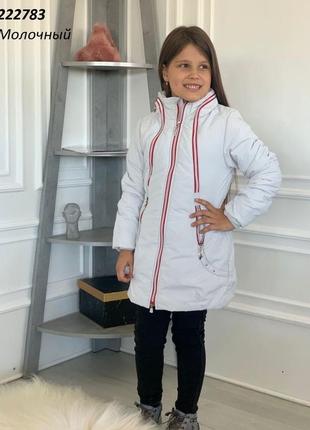 Куртка демісезонна