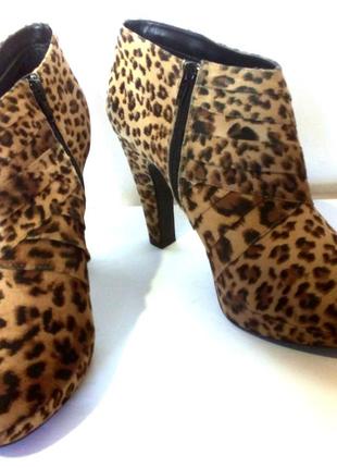 Эффектные ботильоны / ботинки с леопардовым принтом от new look, р.42 код b42045 фото